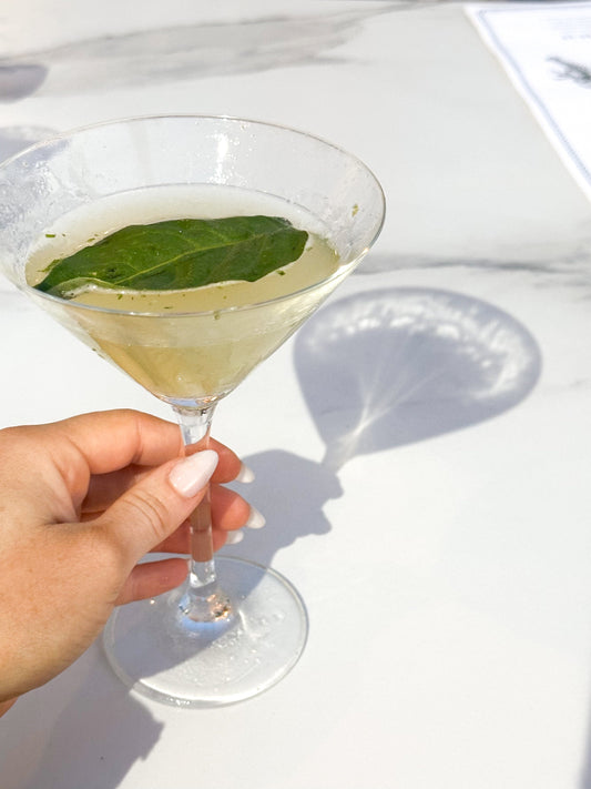 toasting with non-alcoholic and alcoholic drinks side by side, celebrating pro-choice drinking philosophy